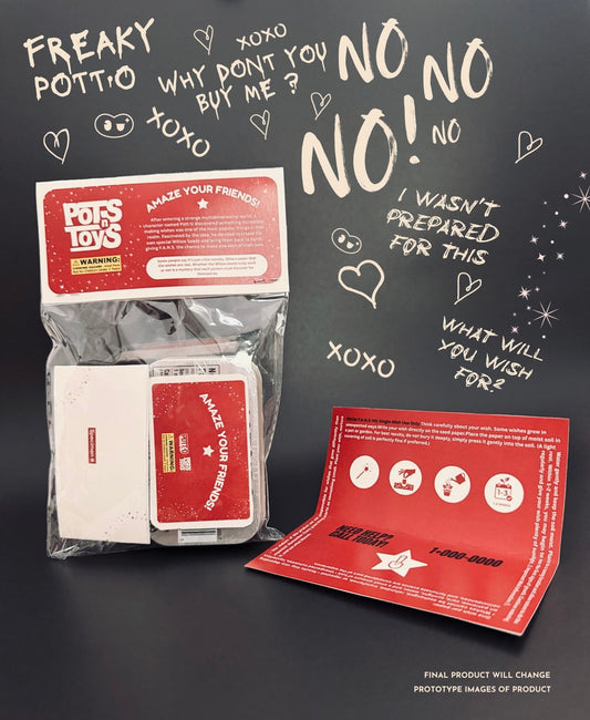 Pott·o Standard Wish Willow Seed Pre-order Ships ~1 Month